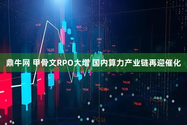 鼎牛网 甲骨文RPO大增 国内算力产业链再迎催化