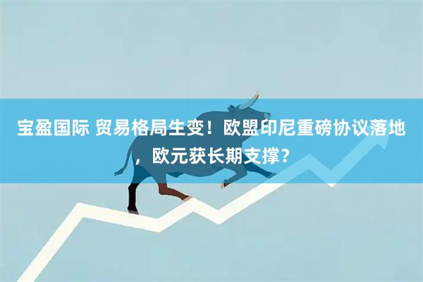 宝盈国际 贸易格局生变！欧盟印尼重磅协议落地，欧元获长期支撑？