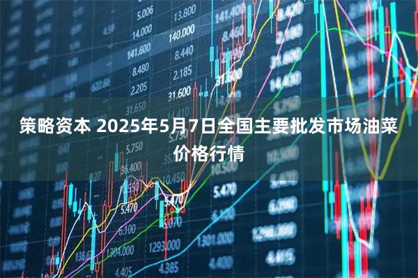 策略资本 2025年5月7日全国主要批发市场油菜价格行情