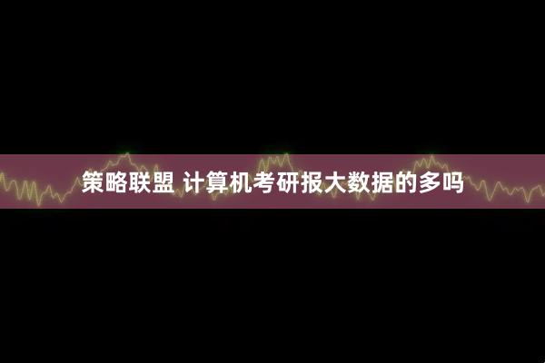 策略联盟 计算机考研报大数据的多吗