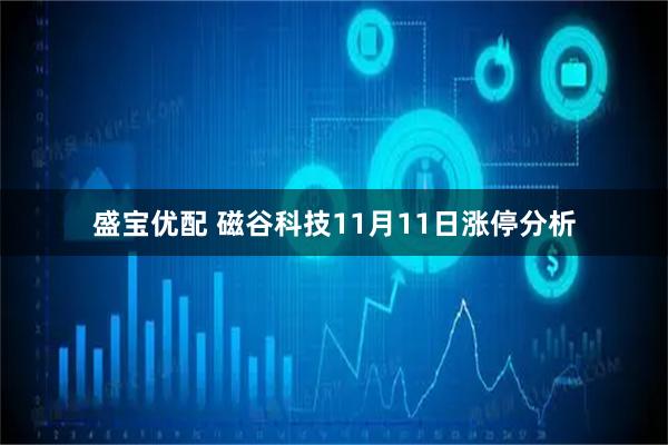 盛宝优配 磁谷科技11月11日涨停分析